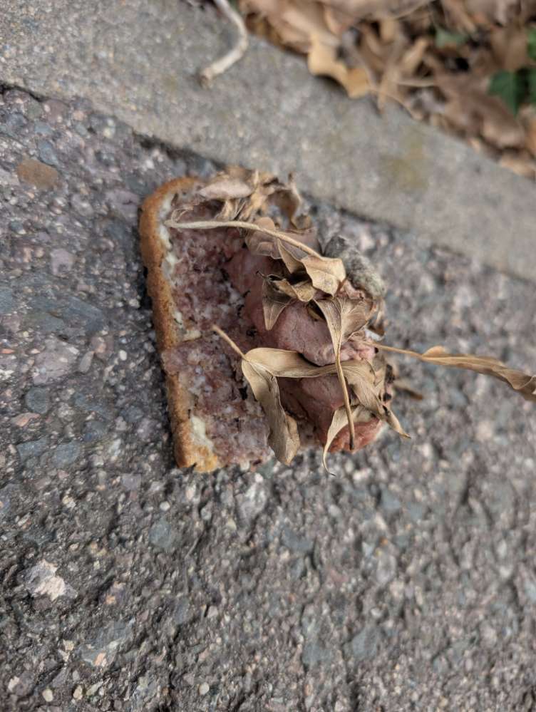 Giftköder-Eventuell Giftköder-Profilbild