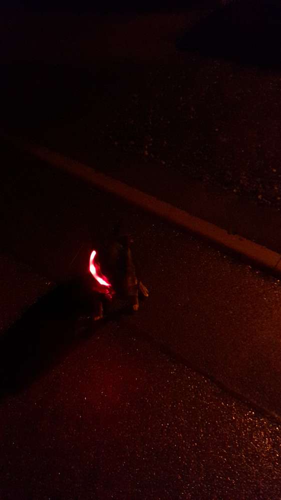 Hundetreffen-EJ-Profilbild