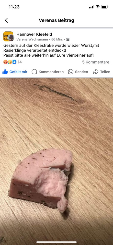 Giftköder-Giftköder-Profilbild