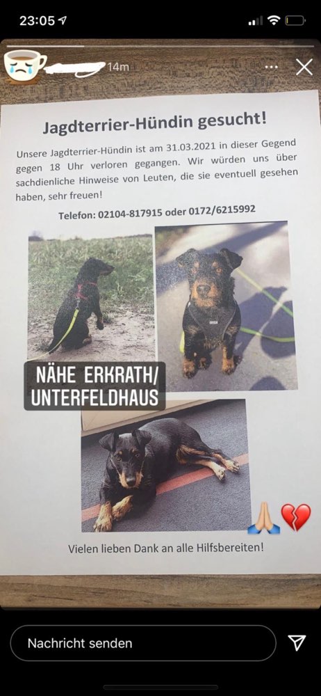 Suchmeldung-Holly-Profilbild