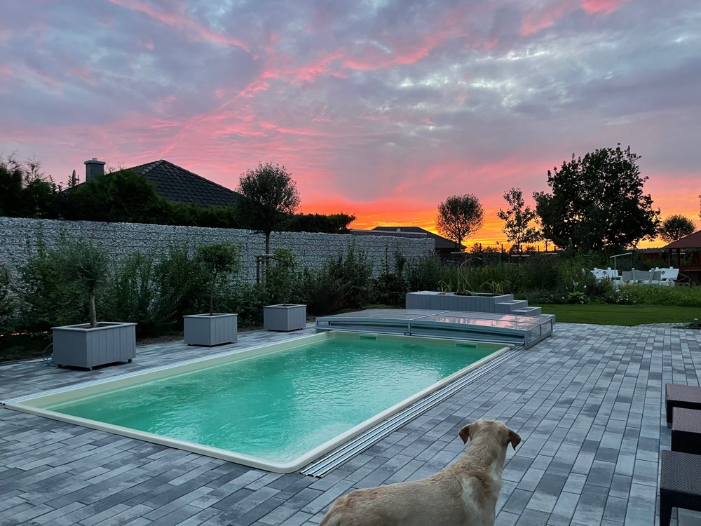 Hundetreffen-Pool & Treffen zum Spielen & spazieren gehen-Profilbild