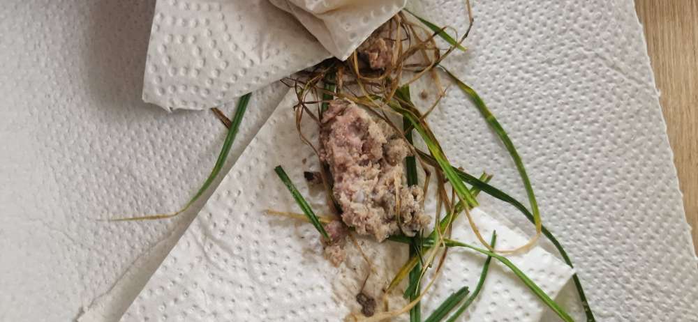 Giftköder-Verdacht auf Giftköder-Profilbild