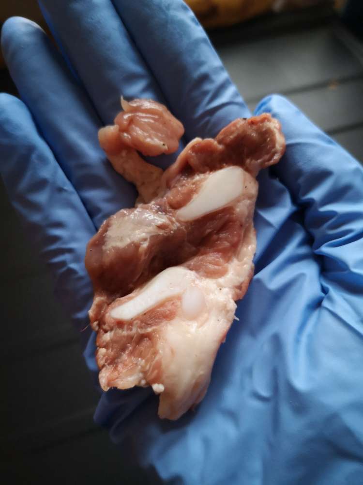 Giftköder-Fleischstücke-Profilbild