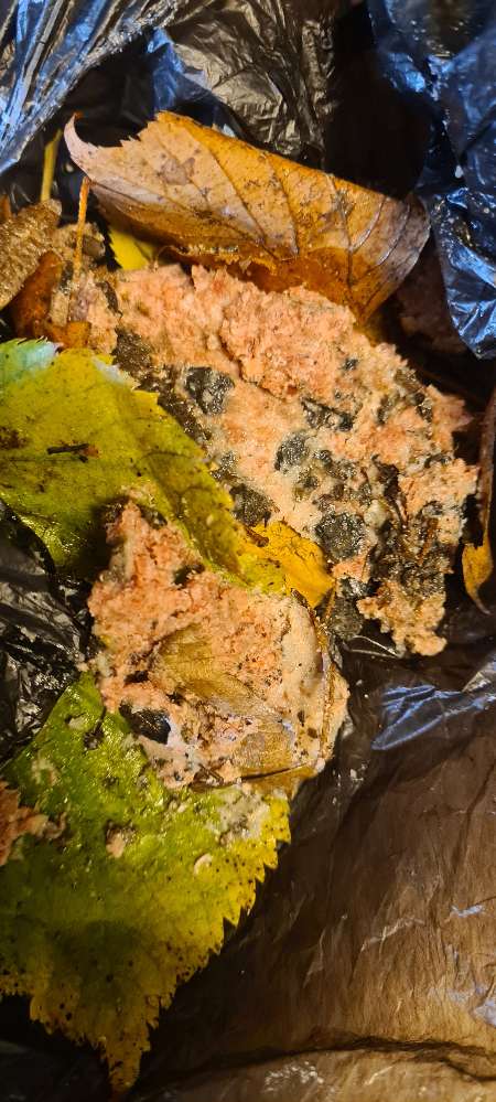 Giftköder-Rohes gehacktes, große Bälle geformt-Profilbild