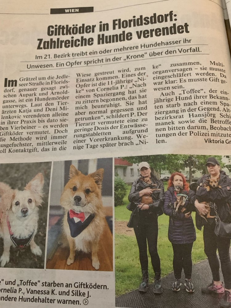Giftköder-Kontaktgift in der Wiese-Profilbild