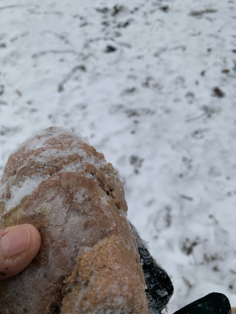 Giftköder-Möglicherweise Giftköder-Profilbild