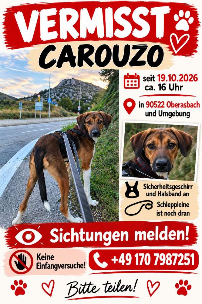 Suchmeldung-Carouzo-Profilbild
