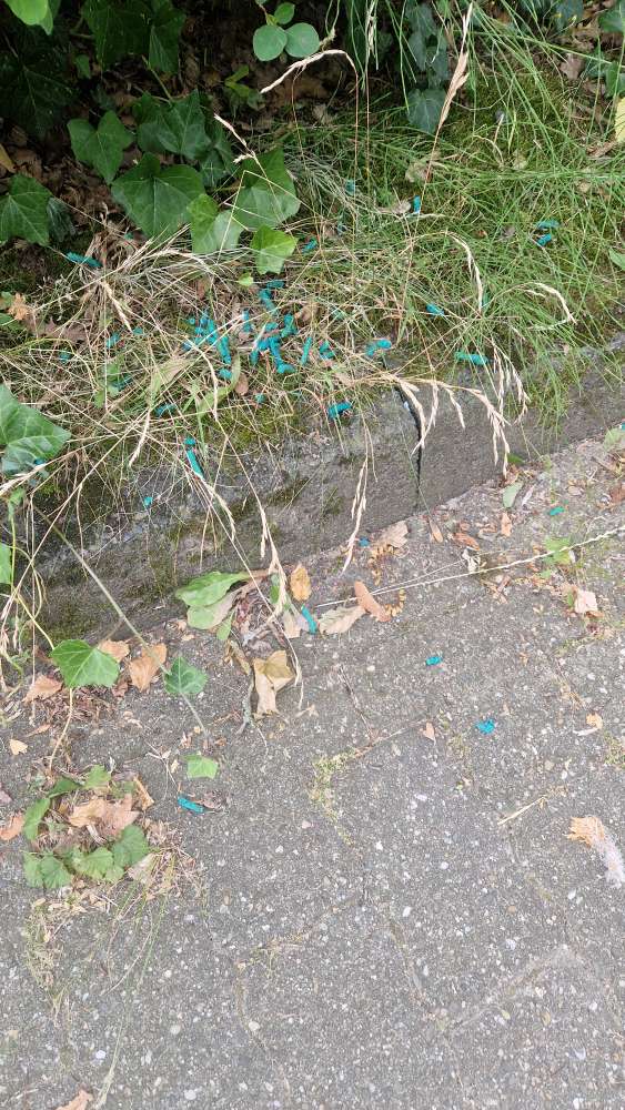 Giftköder-Blaues Streugut-Profilbild