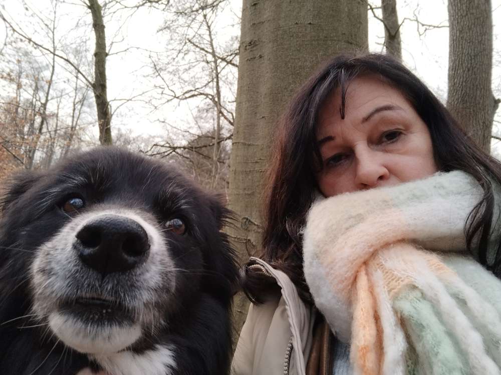 Hundetreffen-Seniorenrunde-Profilbild