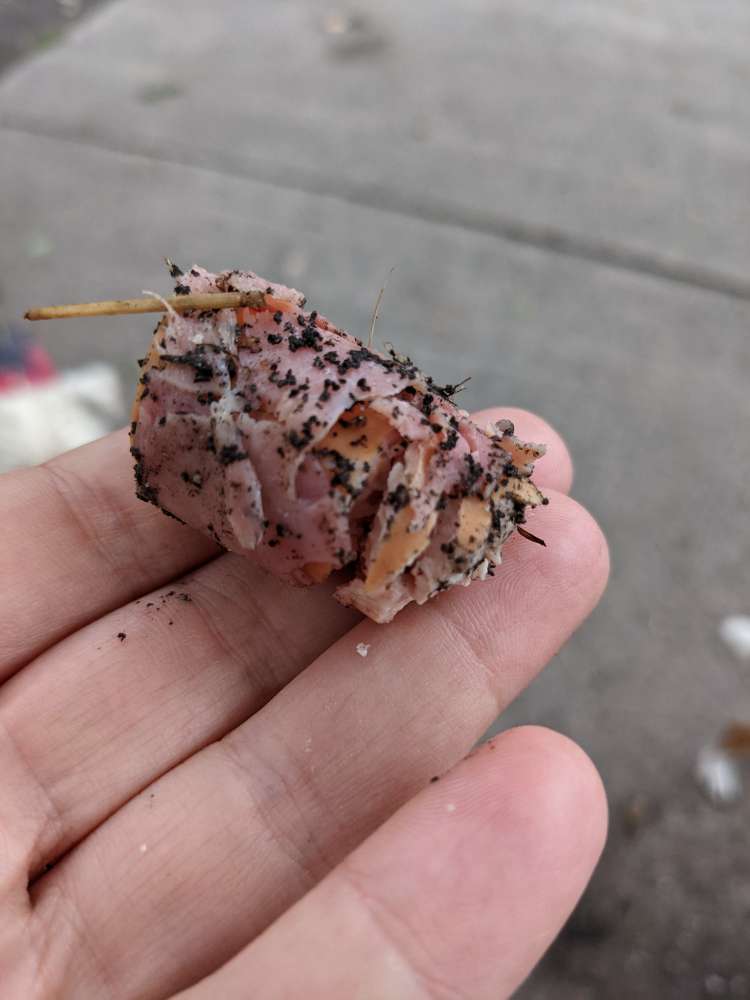 Giftköder-Giftköder Verdacht-Profilbild