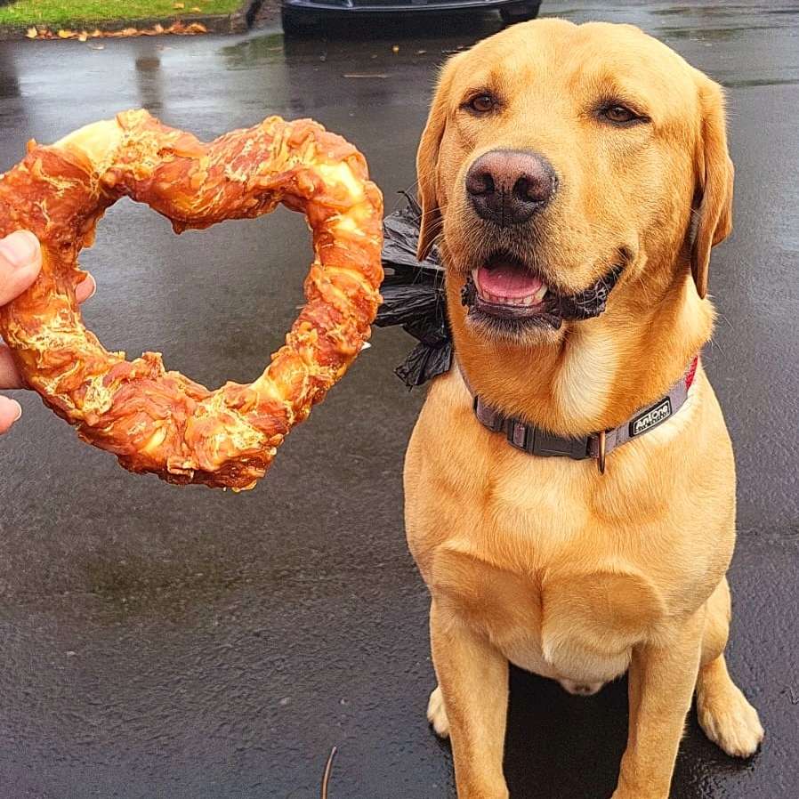 Hundetreffen-Spielrunde ODER Gassirunde Sonstiges-Profilbild