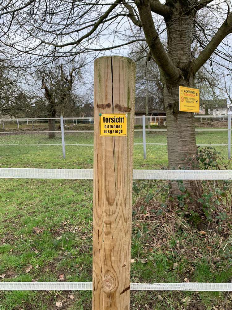 Giftköder-Giftköder wegen Ratten ausgelegt,Besitze-Profilbild