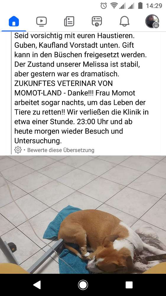 Giftköder-Giftköder-Profilbild