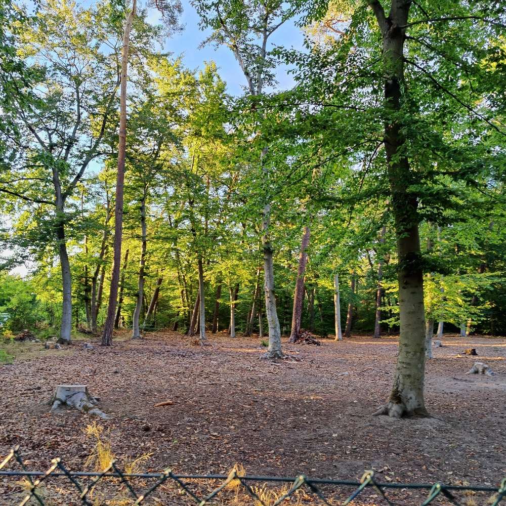 Hundetreffen-Treffen am Hundewald Rodgau-Weiskirchen-Profilbild