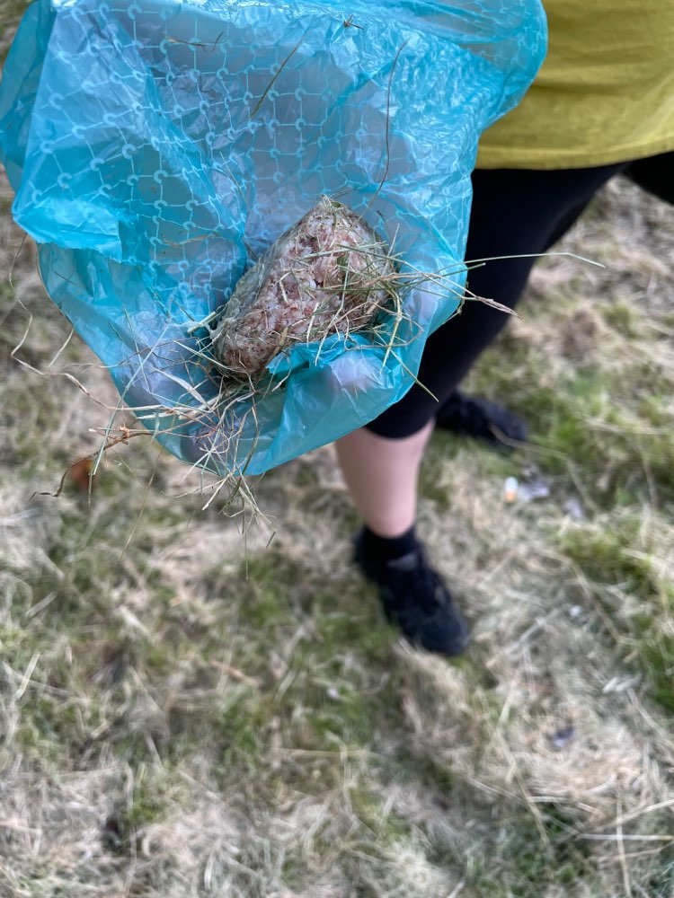 Giftköder-Gehacktes unterm Heu versteckt am Moskau-Profilbild