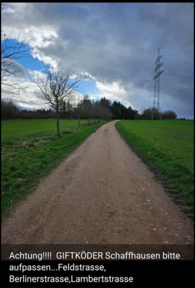 Giftköder-Giftköder-Profilbild