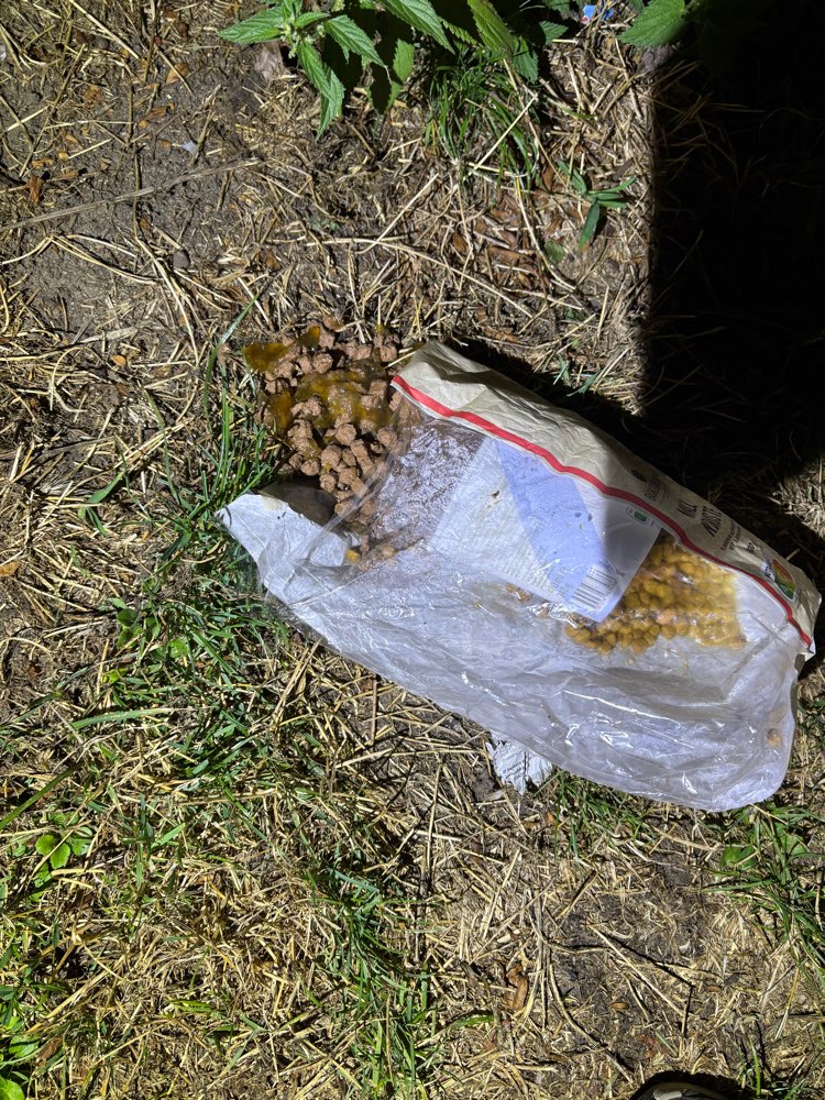 Giftköder-Wiederholt !!! GIFTKÖDER-Profilbild