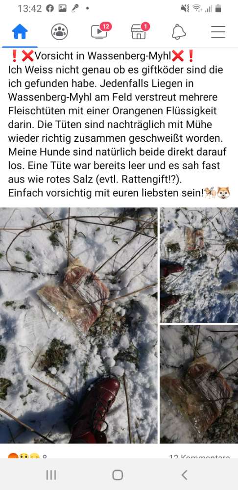 Giftköder-Giftköder-Profilbild