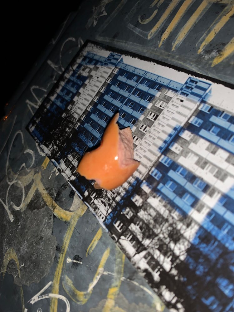 Giftköder-Verdächtige Wurststücke-Profilbild