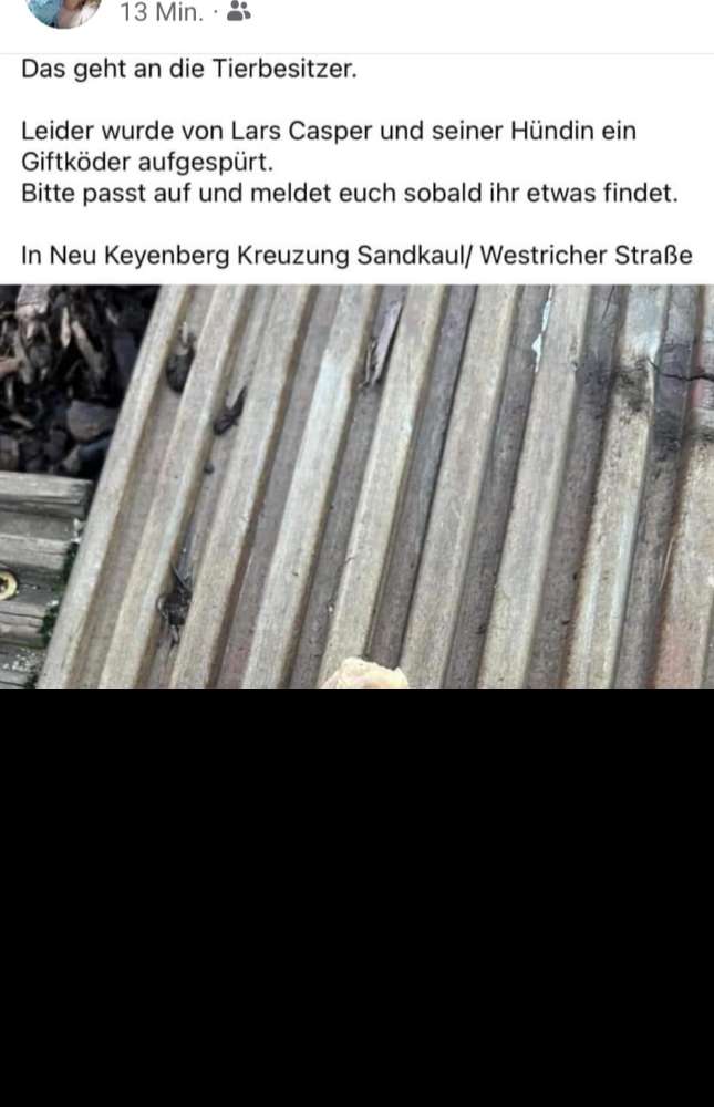 Giftköder-Giftköder-Profilbild