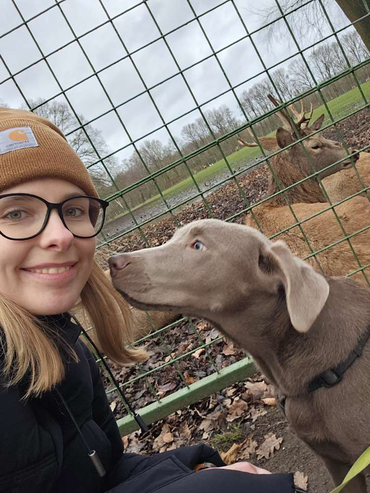 Hundetreffen-Suche Hundefreund/in für wilden Junghund!-Profilbild