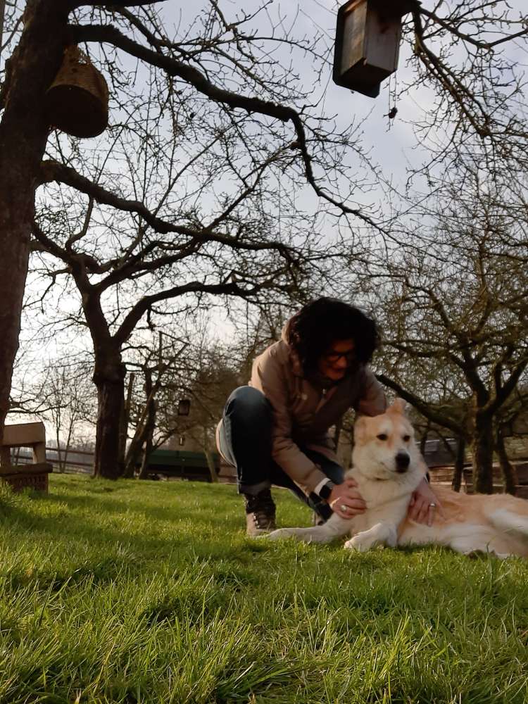 Hundetreffen-Unkompliziertes Treffen mit unseren Hunden und schöne Spaiziergänge-Profilbild