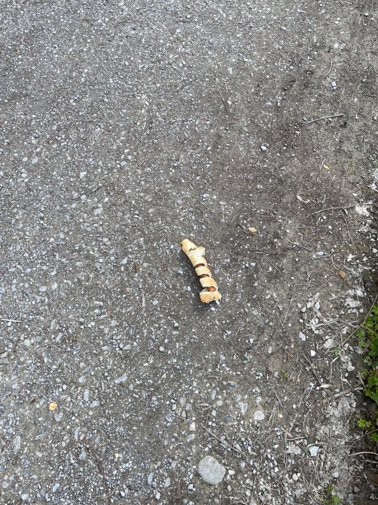 Giftköder-Evtl. Giftköder-Profilbild