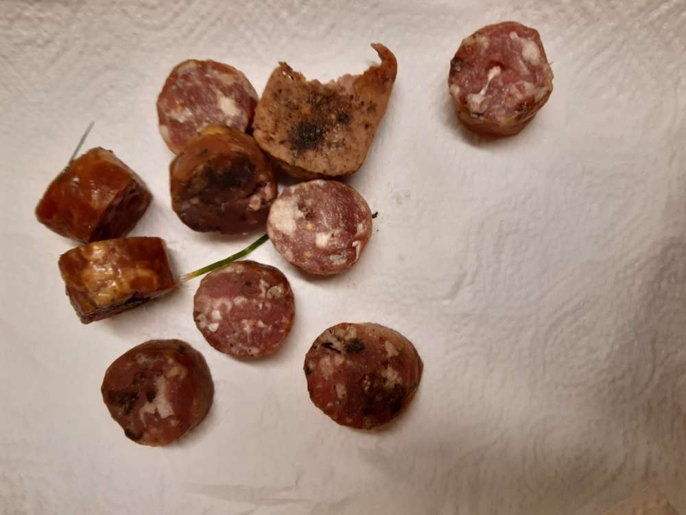 Giftköder-Knackwurst auf Wiese verteilt-Profilbild