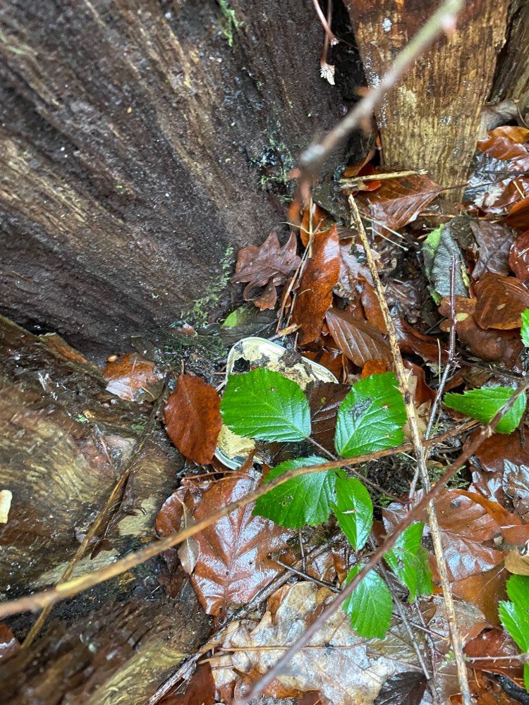 Giftköder-Katzenfutter Dose-Profilbild