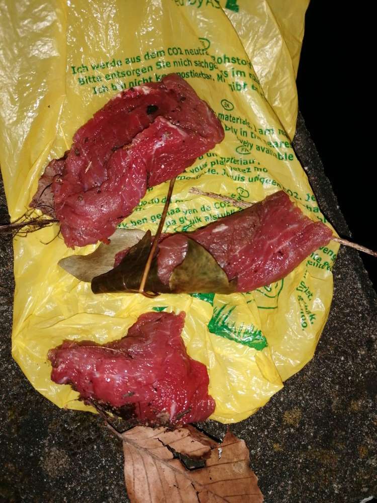 Giftköder-Giftköder-Profilbild