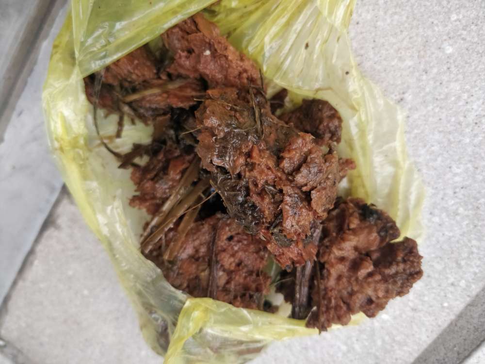 Giftköder-Eventuell Giftköder-Profilbild