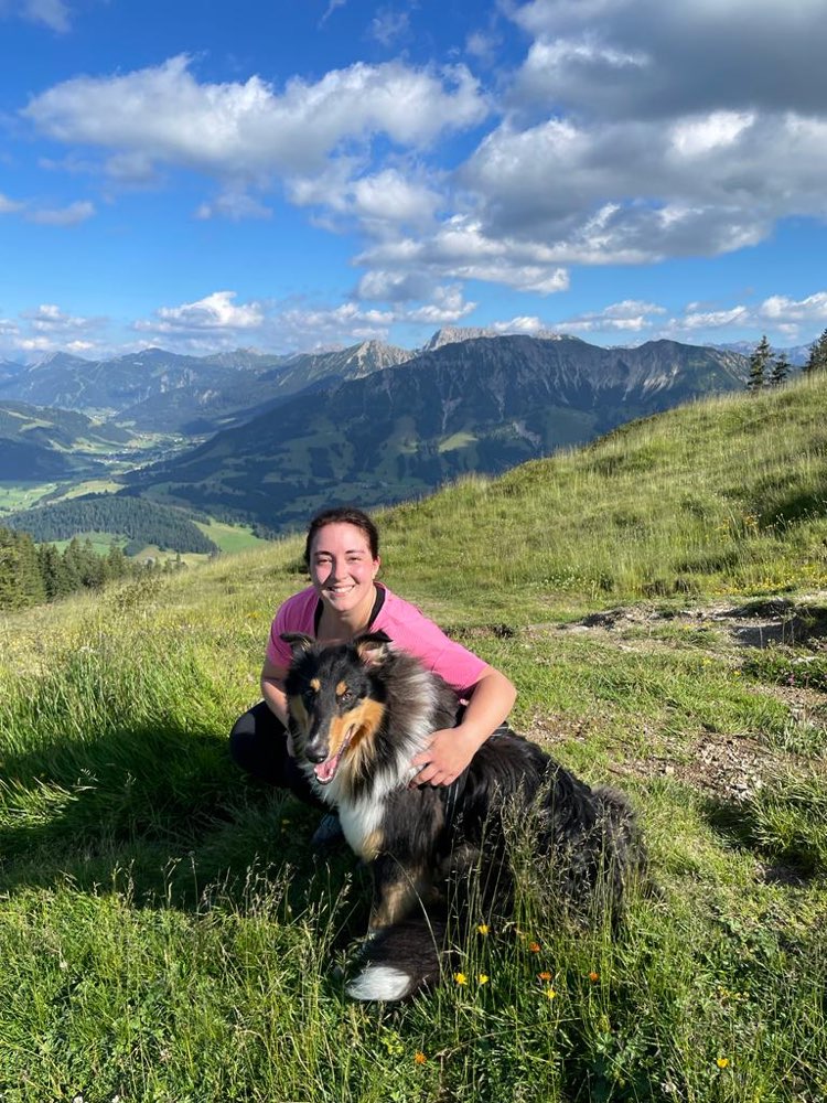 Hundetreffen-Spielpartner oder zusammen spazieren gehen-Profilbild