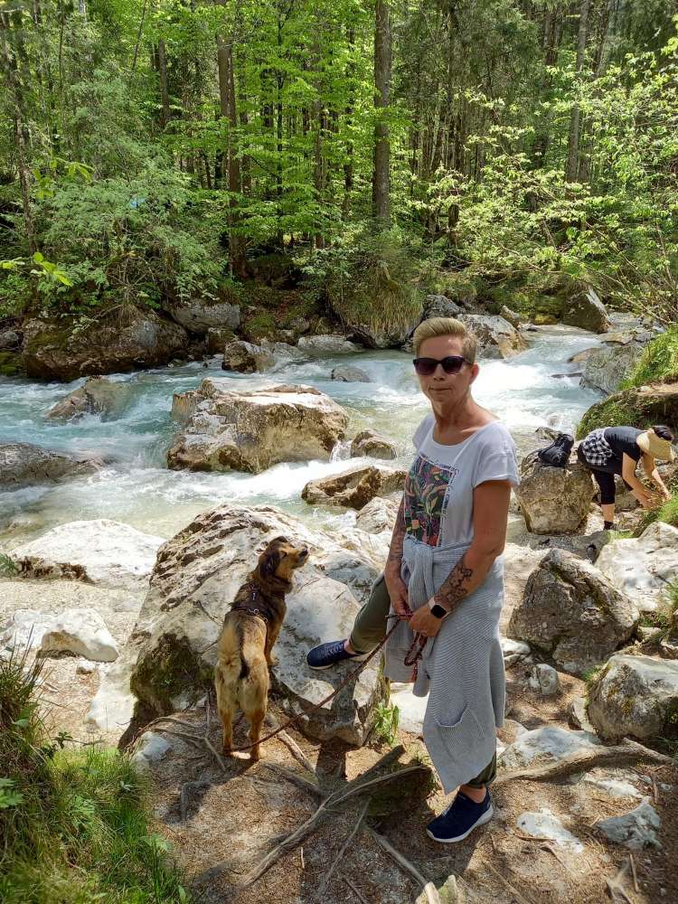 Hundetreffen-Spaß, Spiel ,Spaziergang-Profilbild