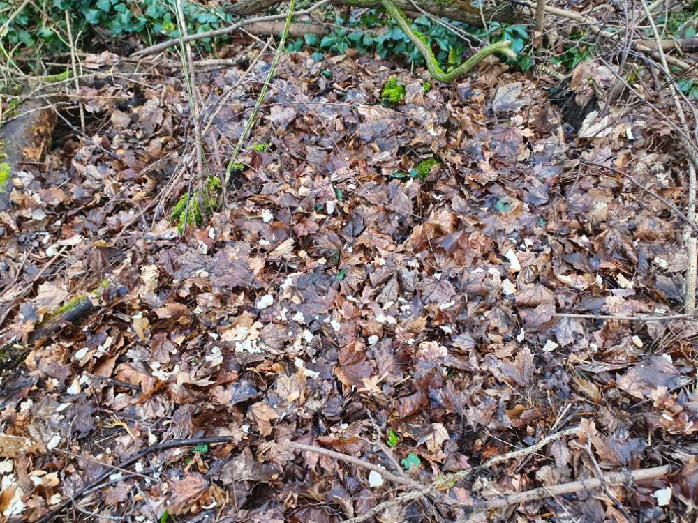 Giftköder-Achtung Essensreste-Profilbild