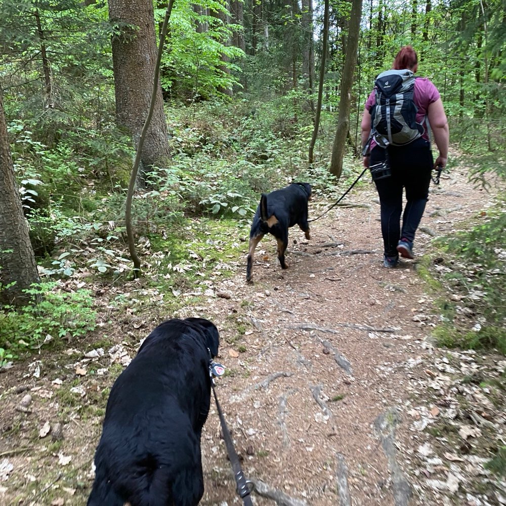 Hundetreffen-Social Walk mit Charlie und Katrin-Profilbild