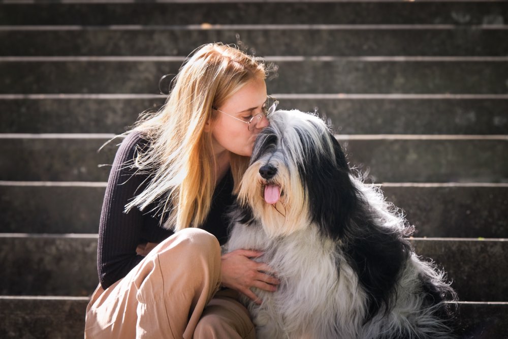 Hundetreffen-Social Walk-Profilbild