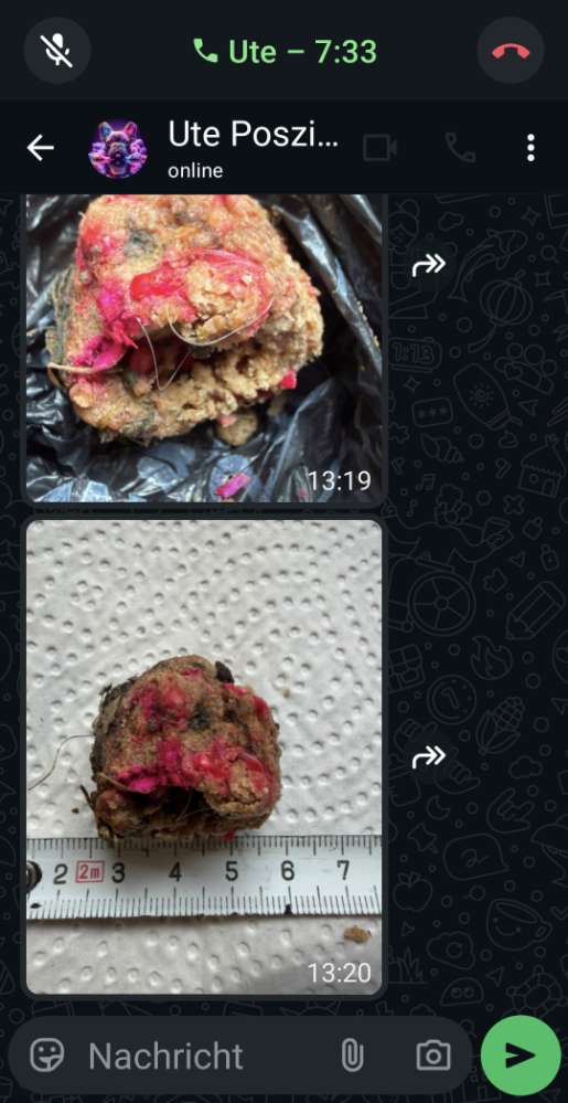 Giftköder-Giftköder gefunden Trakehner Kehre/-Profilbild