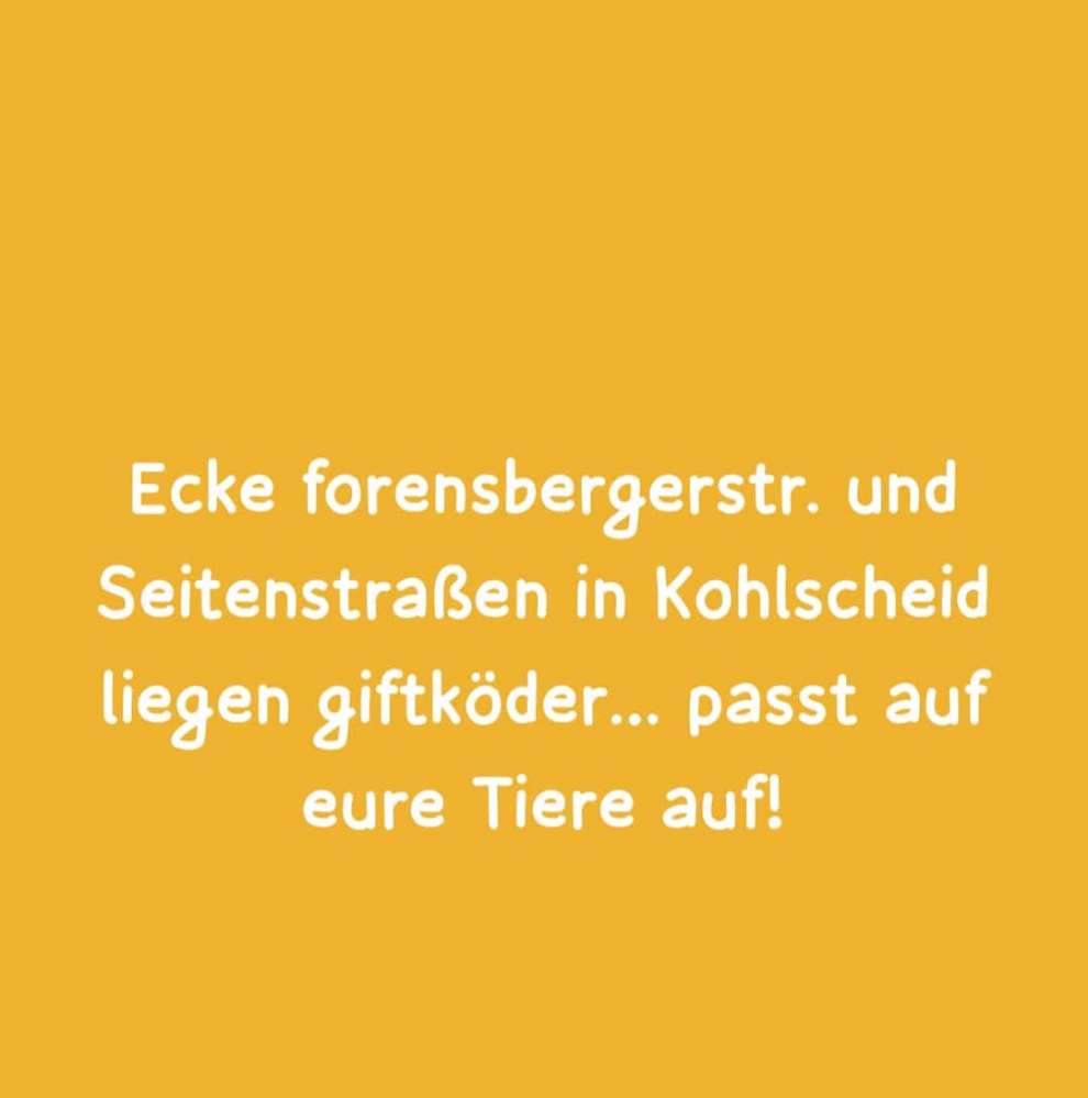 Giftköder-Giftköder-Profilbild