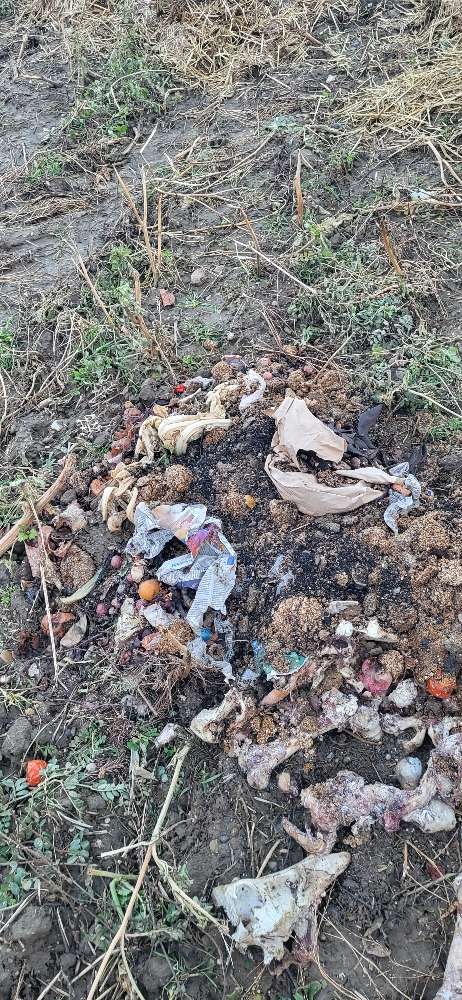 Giftköder-Knochen, Schlachtabfall-Profilbild