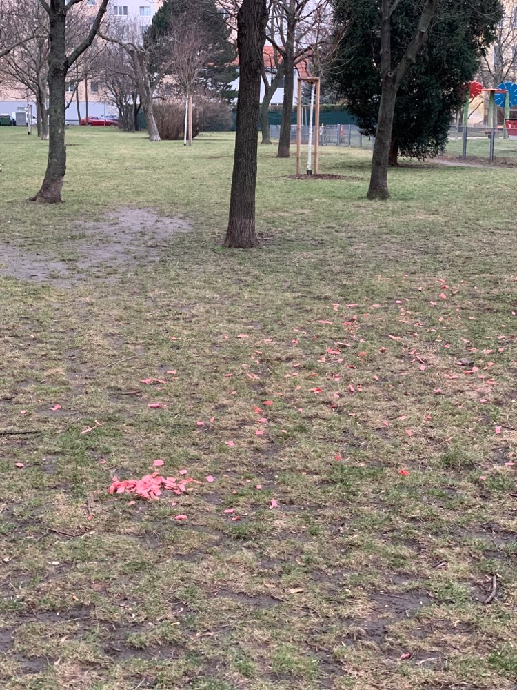 Giftköder-Ausgelegte Fleischreste-Profilbild