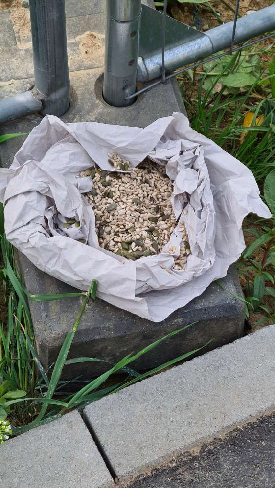 Giftköder-Entwarnung - kein Giftköder-Profilbild