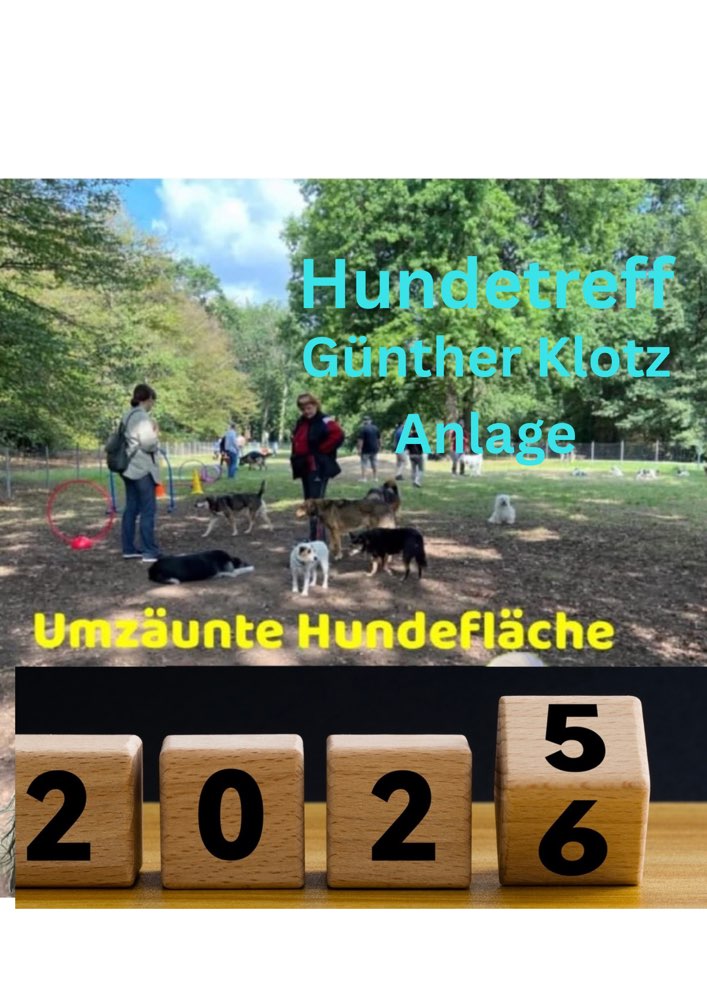 Hundetreffen-Monatlicher Hundetreff in der Günther Klotz‘ Anlage-Profilbild