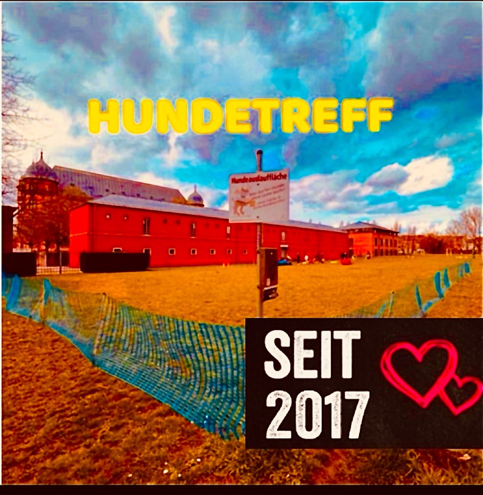 Hundetreffen-Hundetreff am Schloss Gottesaue-Profilbild