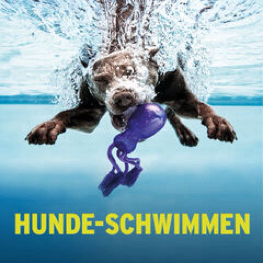 Hundetreffen-Hundeschwimmen-Profilbild