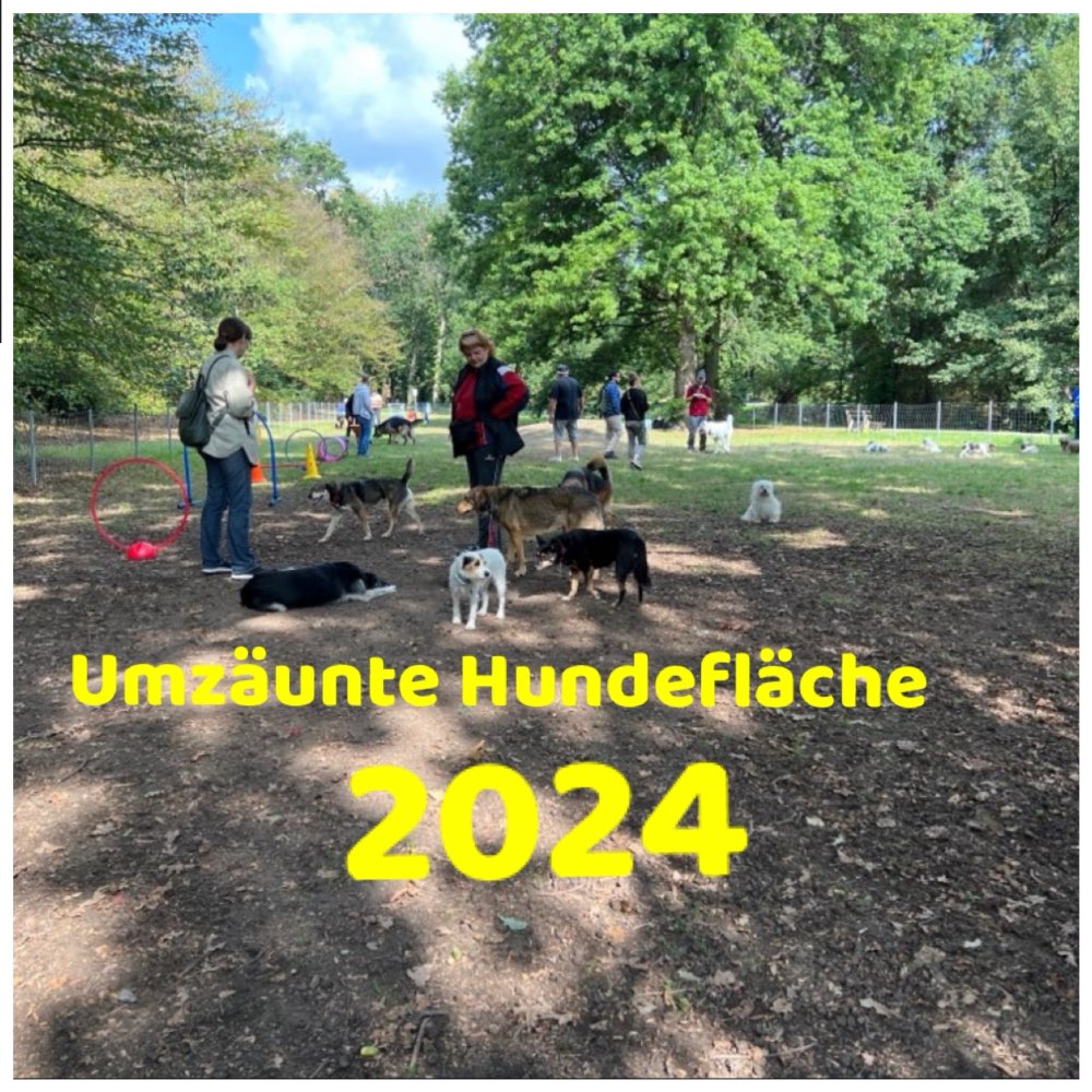 Hundetreffen-Sonntags HUNDETREFF in der Günther Klotz Anlage-Profilbild