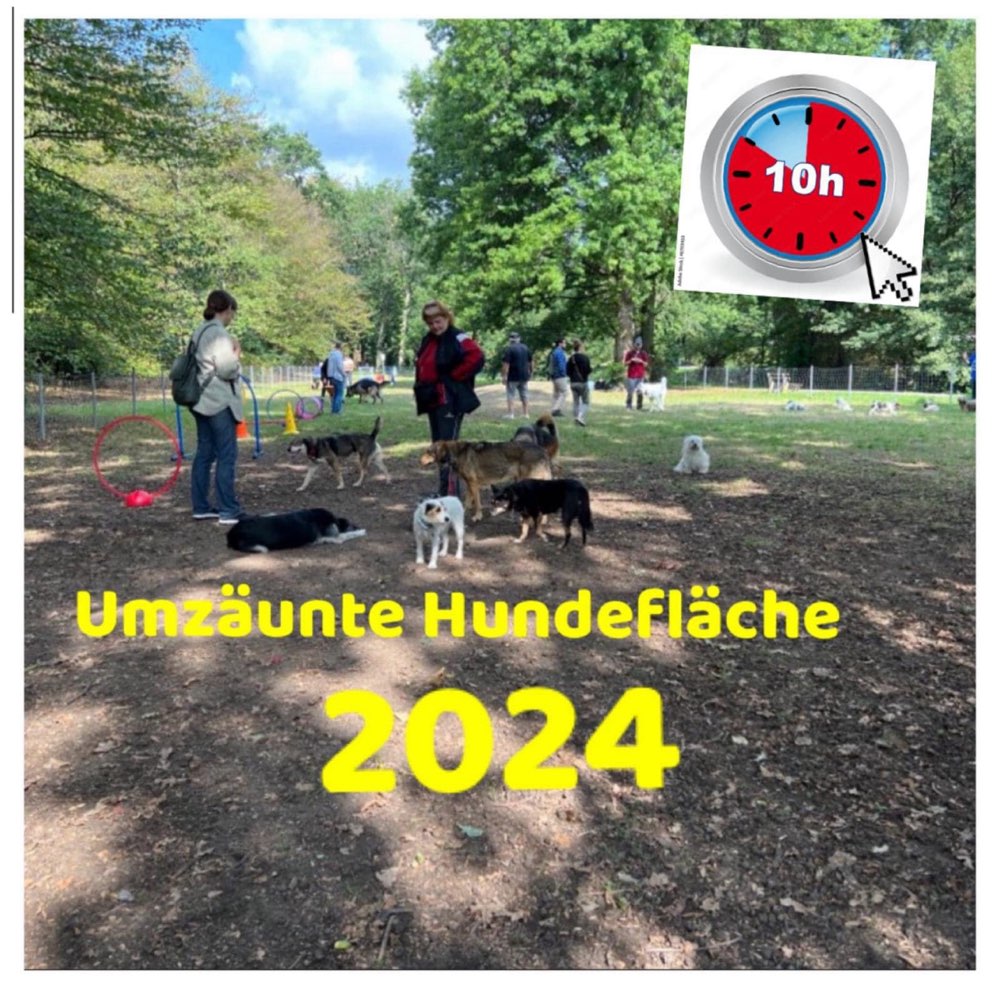 Hundetreffen-Hundeauslauffläche in der Klotze reparieren!!-Profilbild