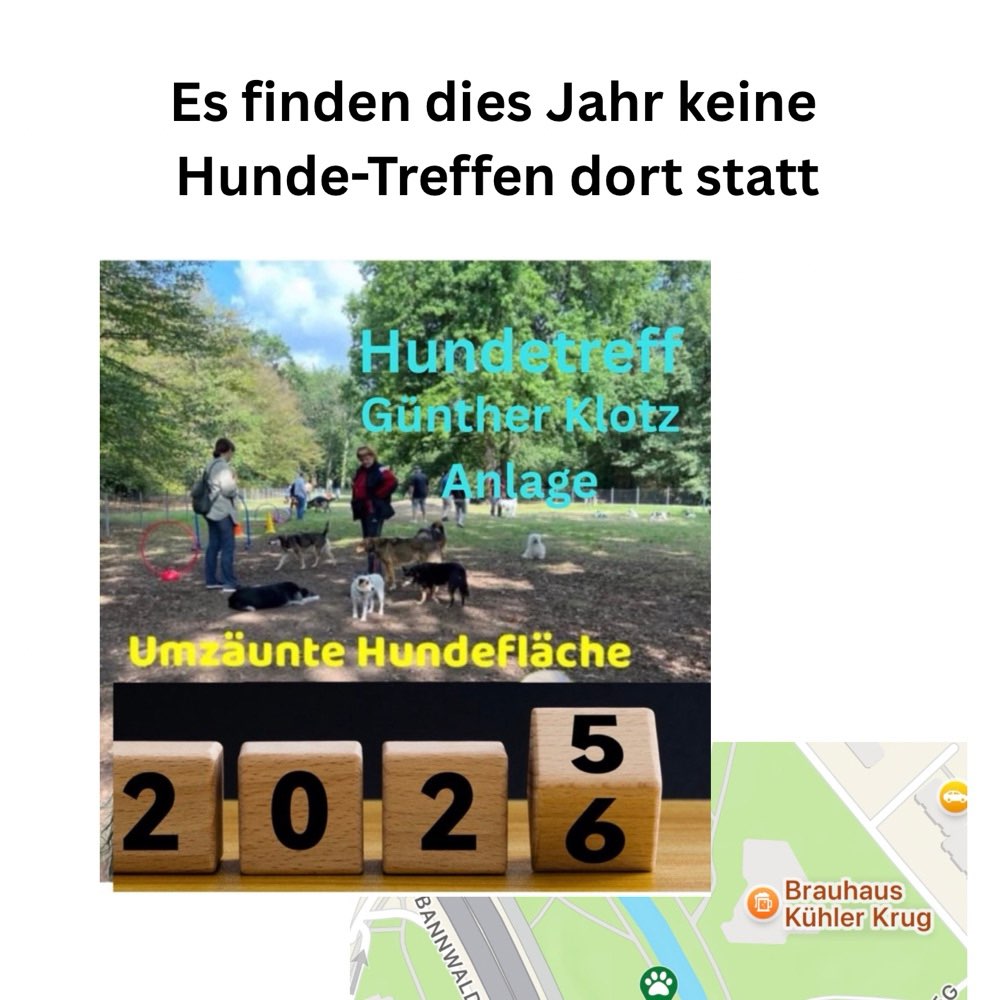 Hundetreffen-Monatlicher Hundetreff in der Günther Klotz‘ Anlage-Profilbild