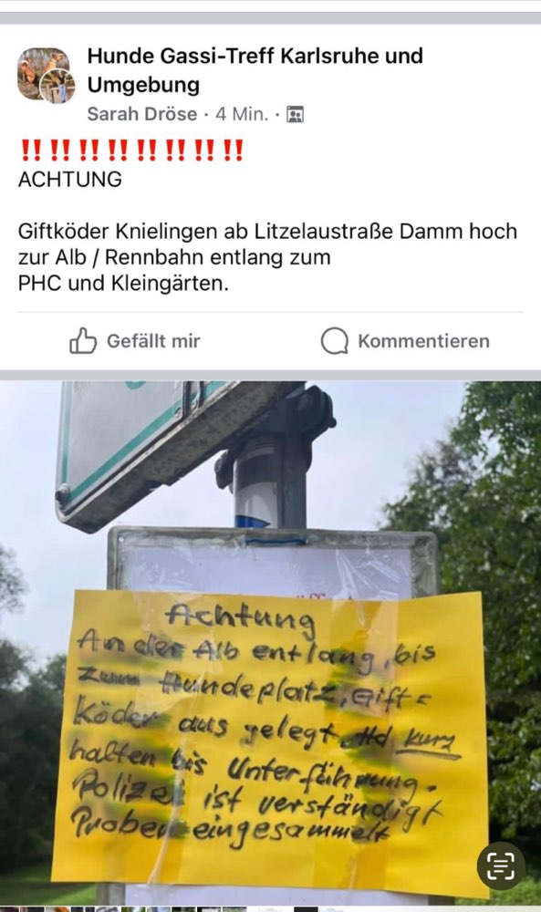 Giftköder-Giftköder gesichtet in Knielingen-Profilbild