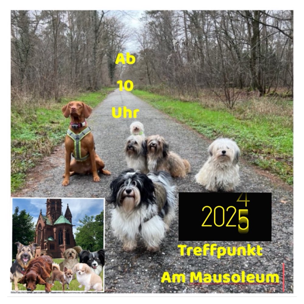 Hundetreffen-Hundespaziergänge 2025 durch den Hardtwald-Profilbild