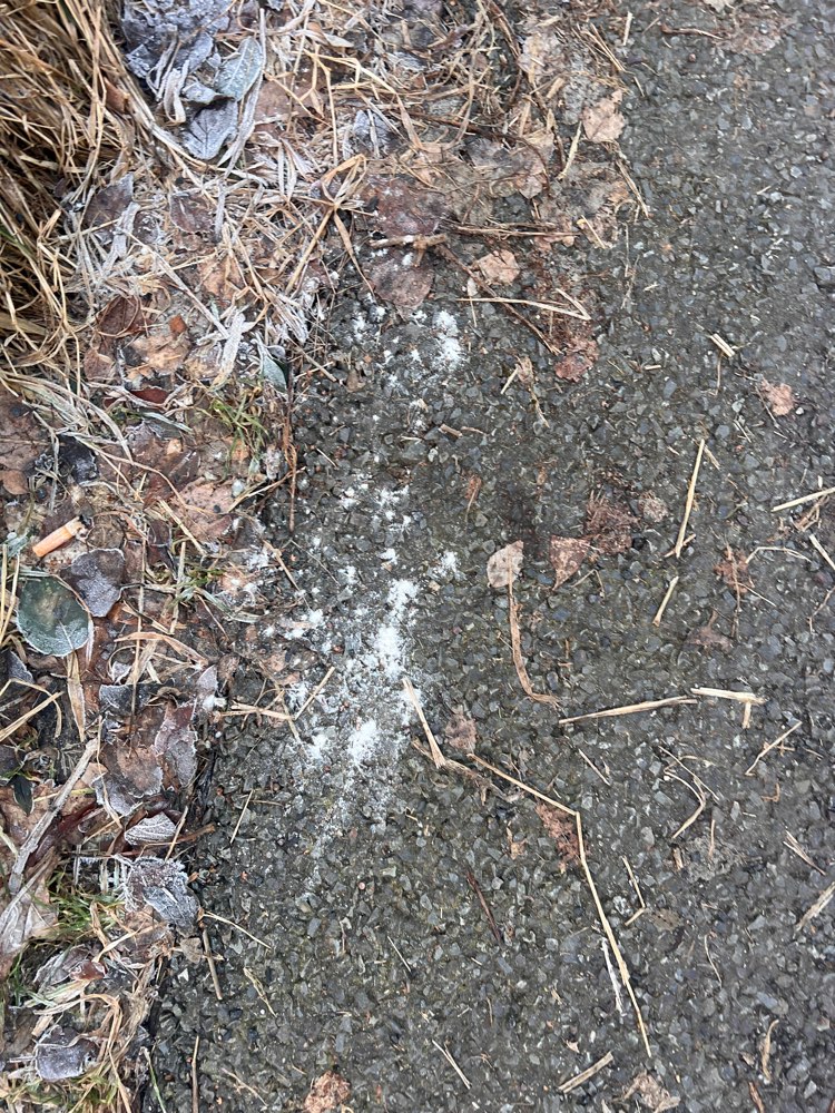 Giftköder-Weißes Pulver-Profilbild